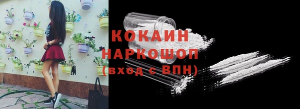 PSILOCYBIN Кукмор