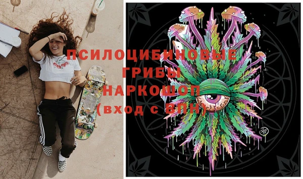 PSILOCYBIN Кукмор