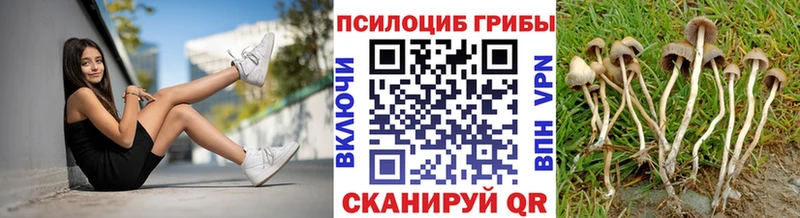Псилоцибиновые грибы мухоморы  Купить  Заречный 